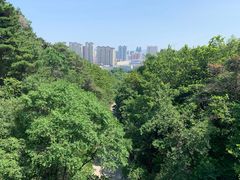-北山公园