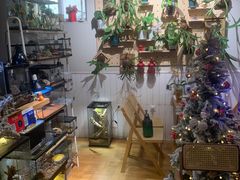 -Rabbit Cafe私房西餐甜点咖啡(栖霞路店)