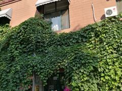 -哈尔滨北方国际青年旅舍(中央大街店)