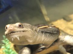 -常州海昌海洋探索馆