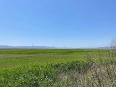 -野鸭湖国家湿地公园