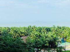 -三亚湾海居铂尔曼度假酒店