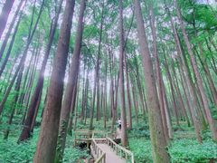 -波尔登森林公园