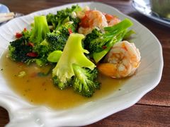 -Kat's Kitchen