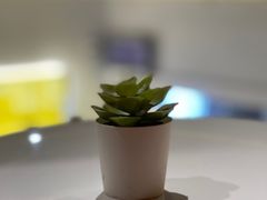 -XI·LaundryCafe 喜咖自助洗衣咖啡店