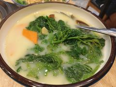 -喜上喜鸡煲翅(吉大店)