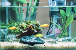 点击看大图 前台-AFA Hair studio·女士发型设计