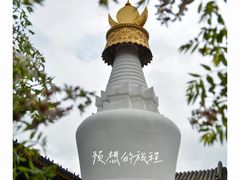 -五台山风景名胜区-罗睺寺