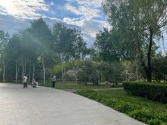 -群力丁香公园