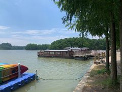 -上海海湾国家森林公园