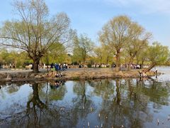 -长春市南湖公园