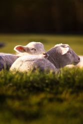 -MELAND CLUB亲子乐园·派对·餐厅(北京芳圆里ID MALL店)