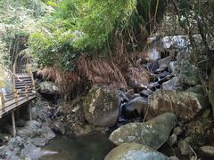-霸王岭国家森林公园