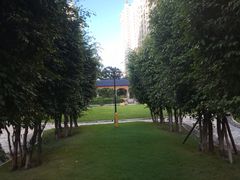小区环境-君和君泰