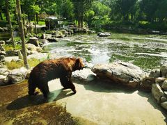 -北京野生动物园