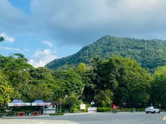 -广州市流溪河国家森林公园