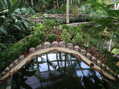 -北京植物园-展览温室