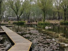 -济南植物园