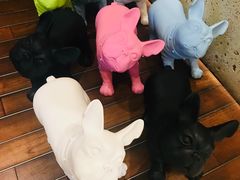 -韵咖啡自助餐厅(天津香格里拉店)
