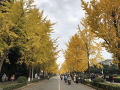 -四川大学(望江校区)
