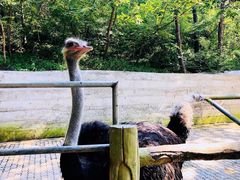 -燕塞湖鸟语林景区