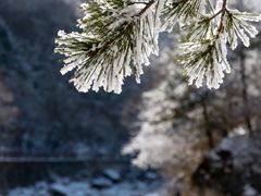 -陕西省红河谷森林公园