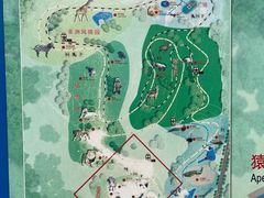 -秦皇岛野生动物园