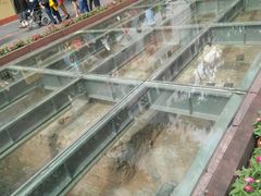 -北京路步行街-千年古道遗址