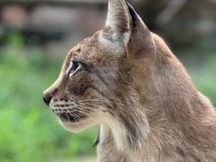 -杭州野生动物世界