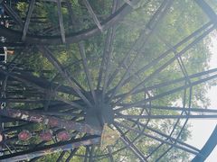 -呀路古热带植物园