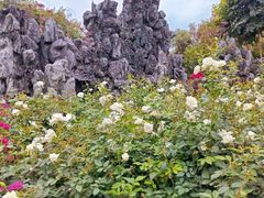 -人民公园(罗湖区)