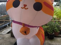 -大澳