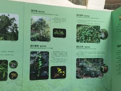 -重庆自然博物馆(新馆)