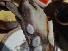 -蒙料·手把肉(望京店)