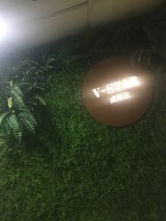-V-STAR威斯达•高级私人定制