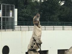 -莱西月湖公园