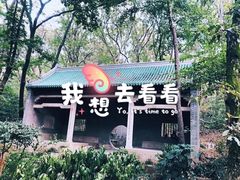 -灵谷景区