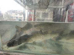 -阿信土煮大排档(太阳城店)