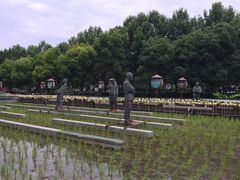 -证大喜玛拉雅中心