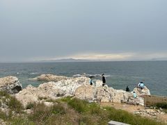-养马岛旅游度假区