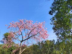-广州市白云山风景名胜区