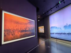 -罗红摄影艺术馆