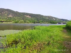 -长广溪湿地公园