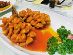 松鼠鱼尾-旭龙鱼头王(航华店)