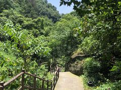 -重庆海昌加勒比海水世界