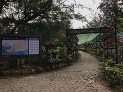 -北海金海湾红树林生态旅游区