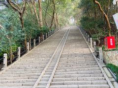 -上海佘山国家森林公园东门地面停车场