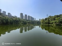 -重庆彩云湖湿地公园
