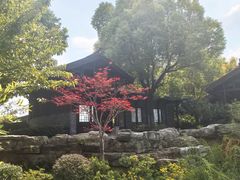 -武汉园博园(武汉自然博物馆)