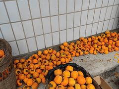 -水峪民俗村